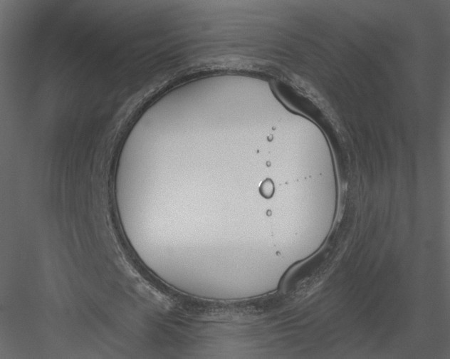 X0000083530625200702240019