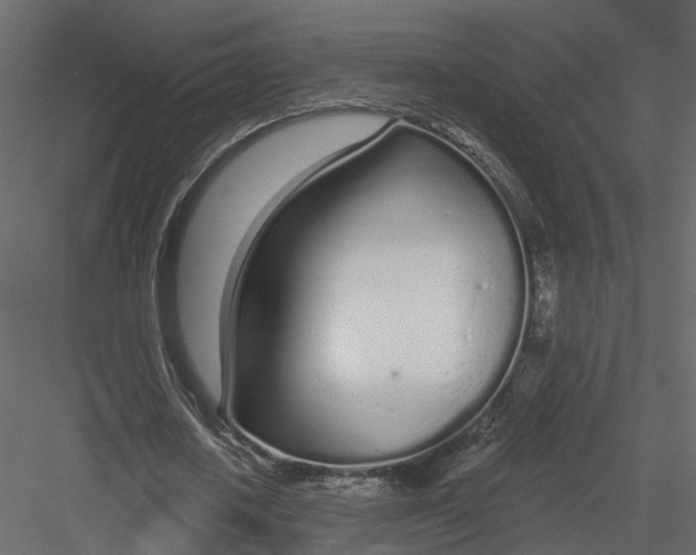 X0000083530626200702240019