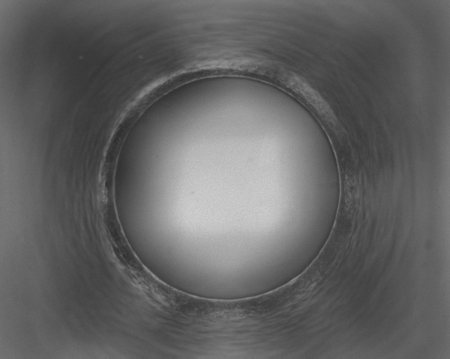 X0000083530628200702240019