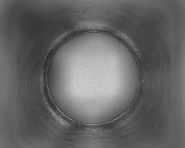 X0000083530629200702240019