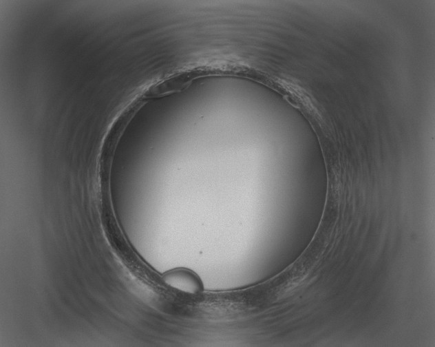 X0000083530630200702240019