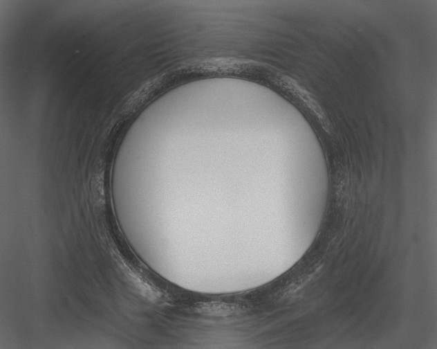 X0000083530633200702240019