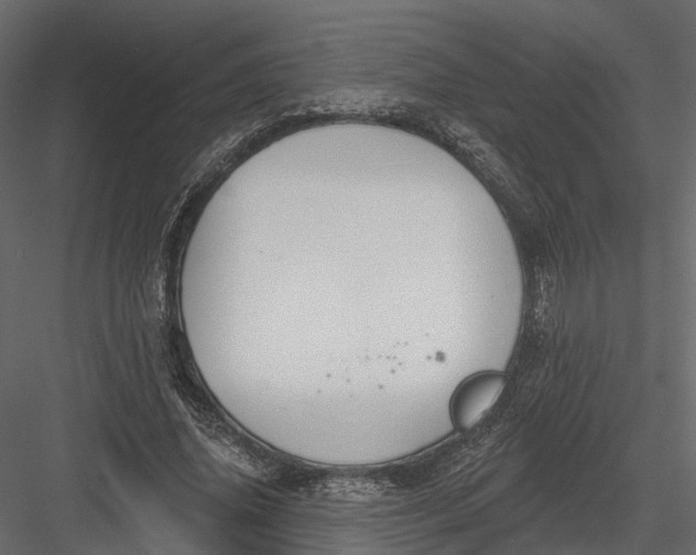 X0000083530636200702240019