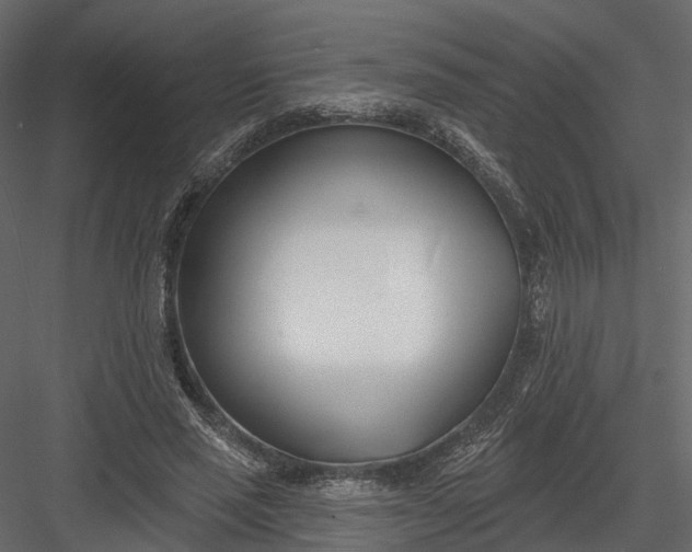 X0000083530637200702240019