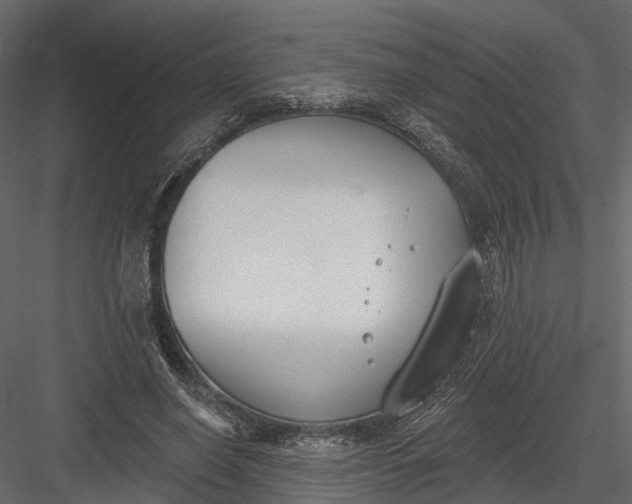 X0000083530638200702240019