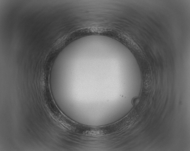 X0000083530639200702240019