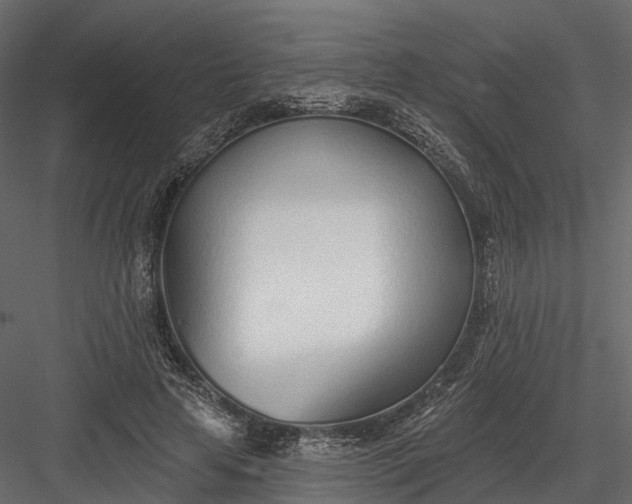 X0000083530641200702240019