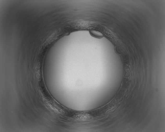 X0000083530642200702240019