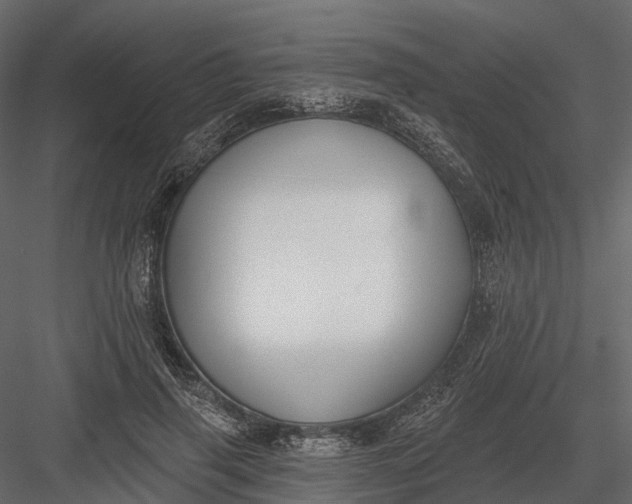 X0000083530645200702240019