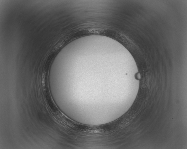 X0000083530646200702240019