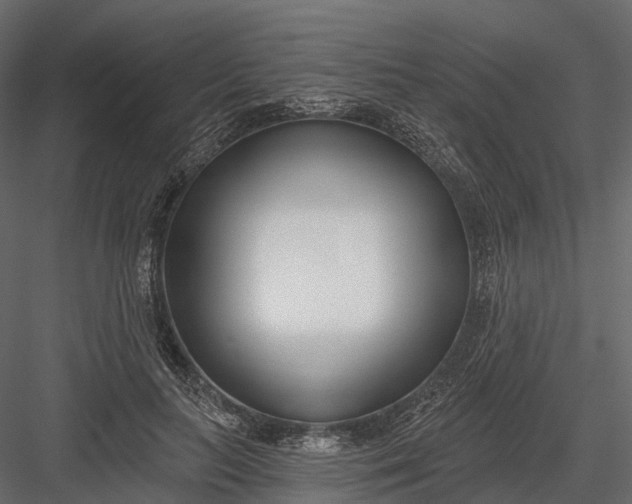 X0000083530647200702240019