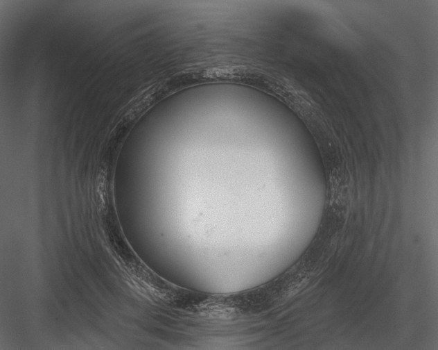 X0000083530648200702240019