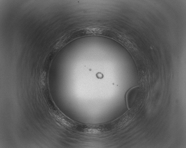 X0000083530649200702240019