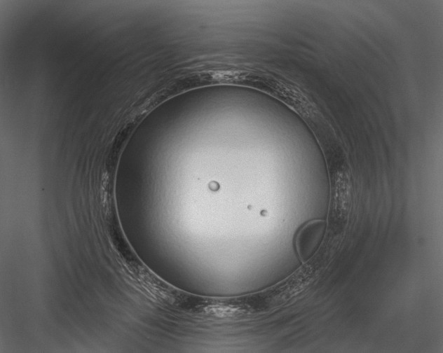 X0000083530650200702240019