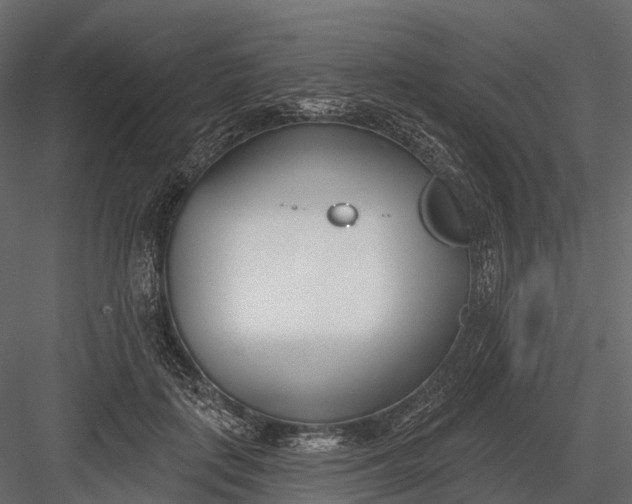 X0000083530651200702240019