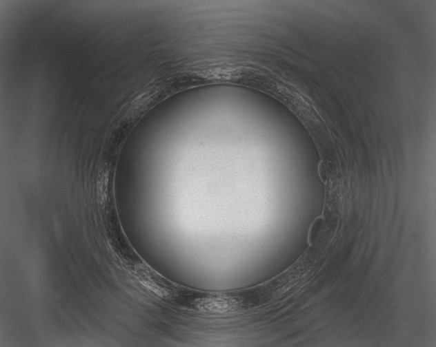 X0000083530652200702240019