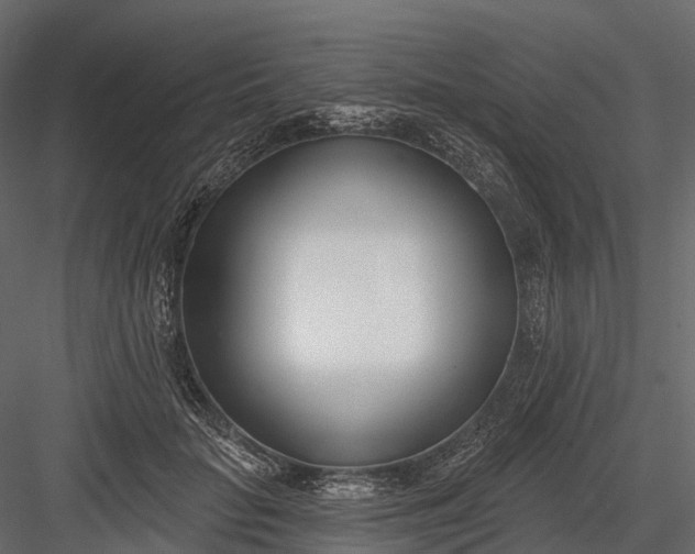 X0000083530653200702240019