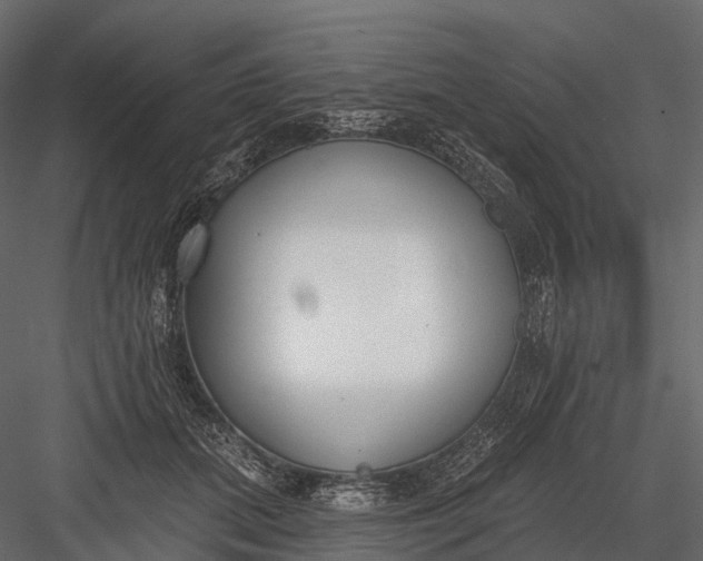 X0000083530655200702240019