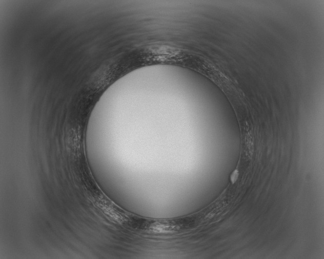 X0000083530657200702240019