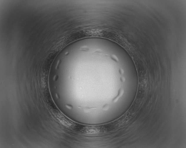 X0000083530658200702240019