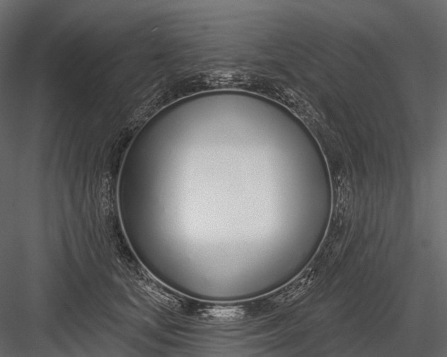 X0000083530659200702240019