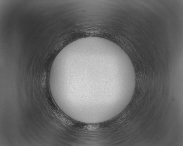 X0000083530660200702240019