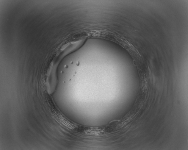 X0000083530661200702240019