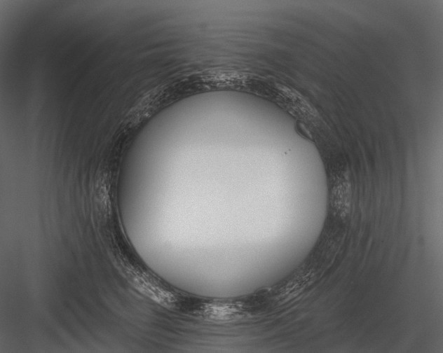 X0000083530662200702240019