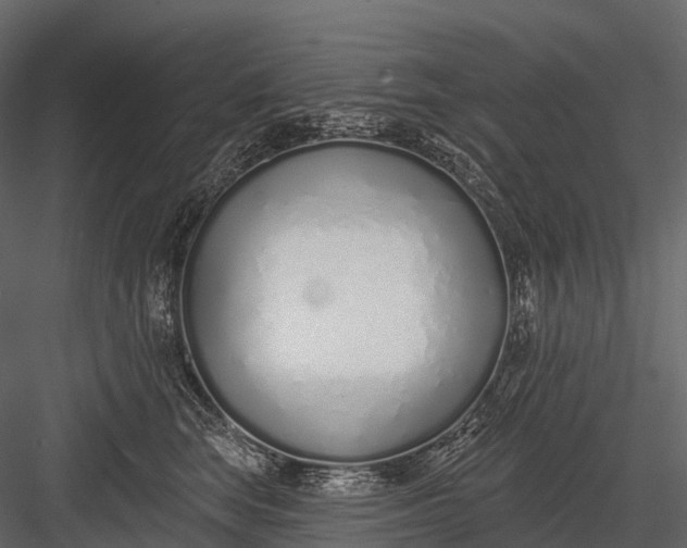 X0000083530663200702240019