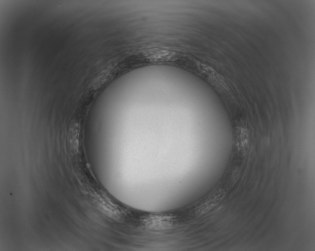 X0000083530664200702240019