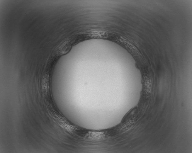 X0000083530665200702240019