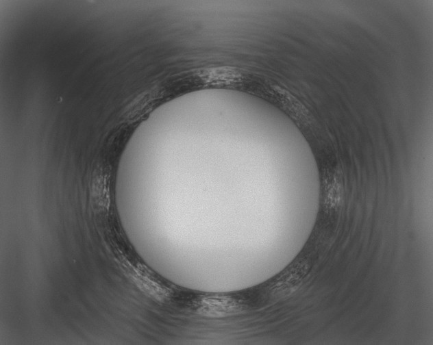 X0000083530666200702240019