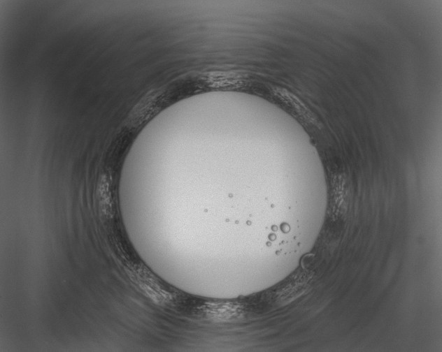 X0000083530667200702240019