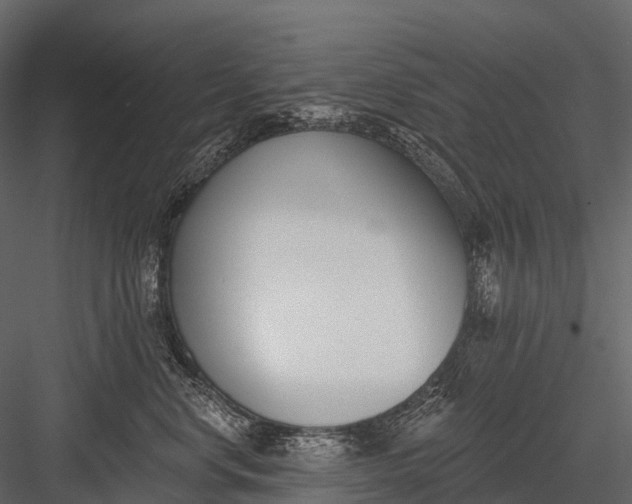 X0000083530668200702240019