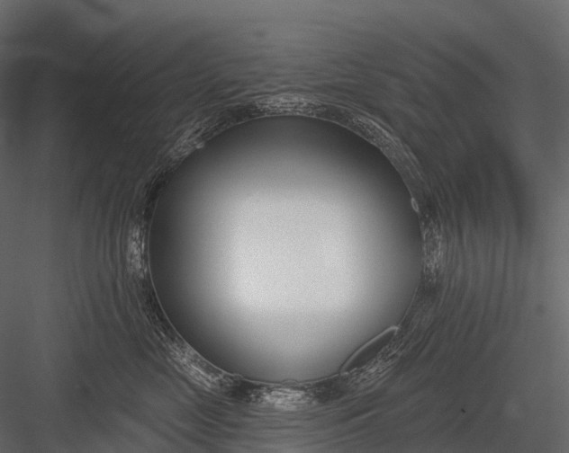 X0000083530669200702240019