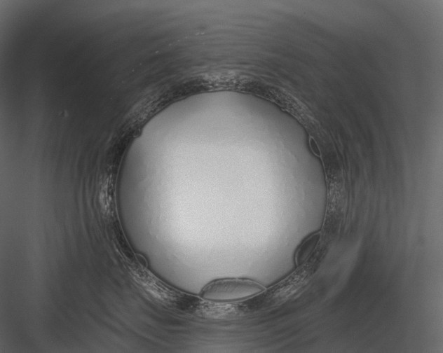 X0000083530671200702240020