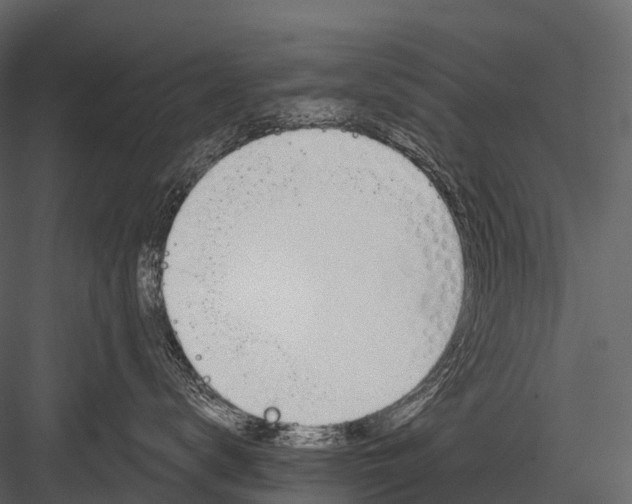 X0000083530672200702240020