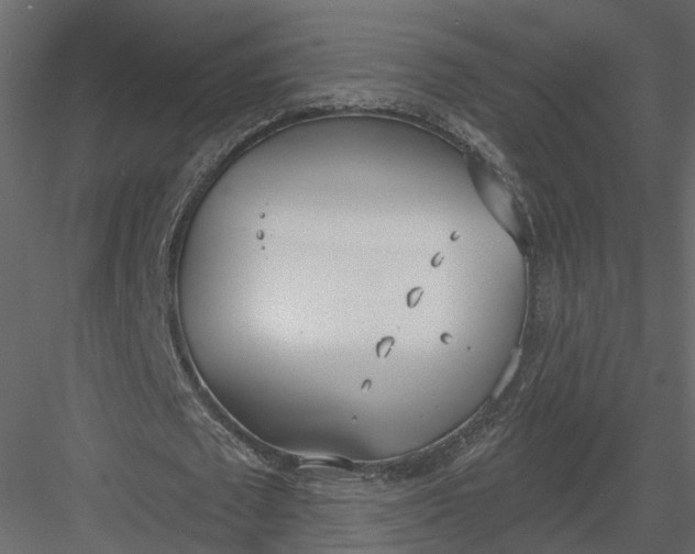 X0000083530673200702240019