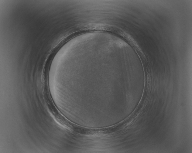 X0000083530674200702240019