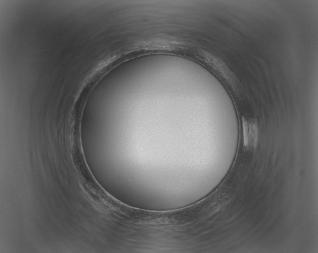 X0000083530675200702240019