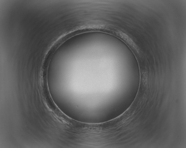 X0000083530676200702240019