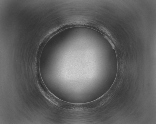 X0000083530677200702240019