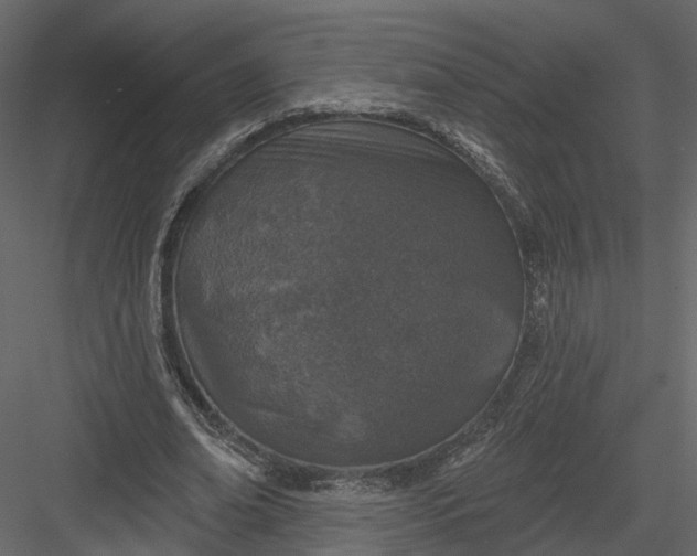 X0000083530678200702240019