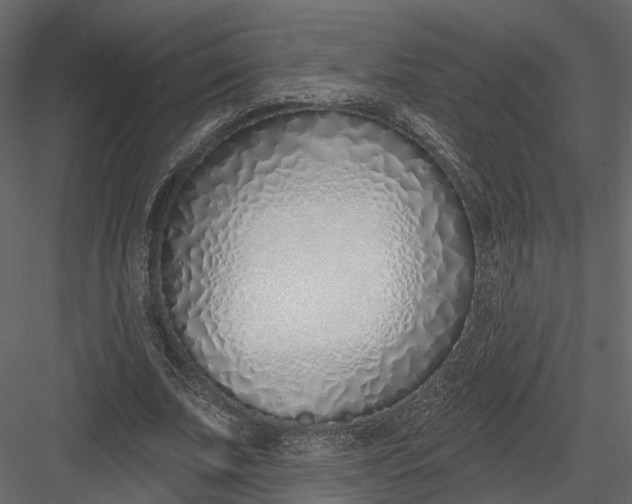 X0000083530679200702240019