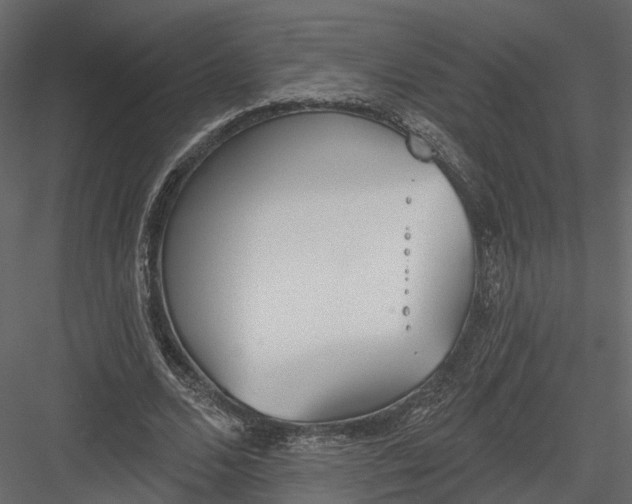 X0000083530680200702240019