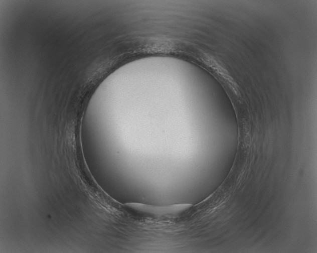 X0000083530681200702240019