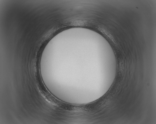 X0000083530682200702240019