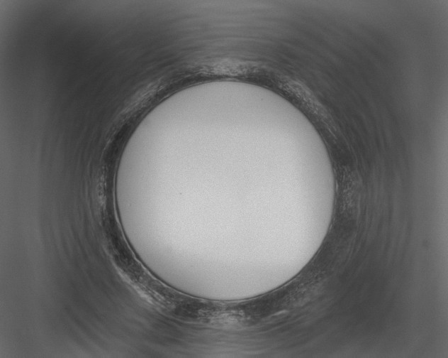 X0000083530683200702240019