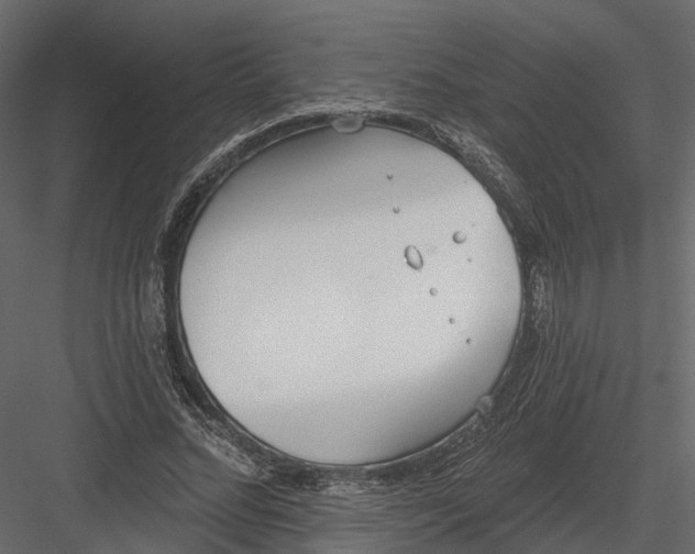 X0000083530684200702240019