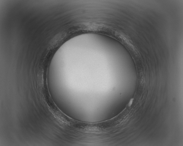 X0000083530685200702240019